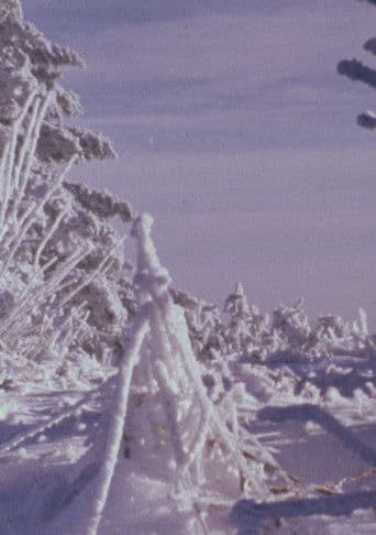 Roan Mountain Eulogy