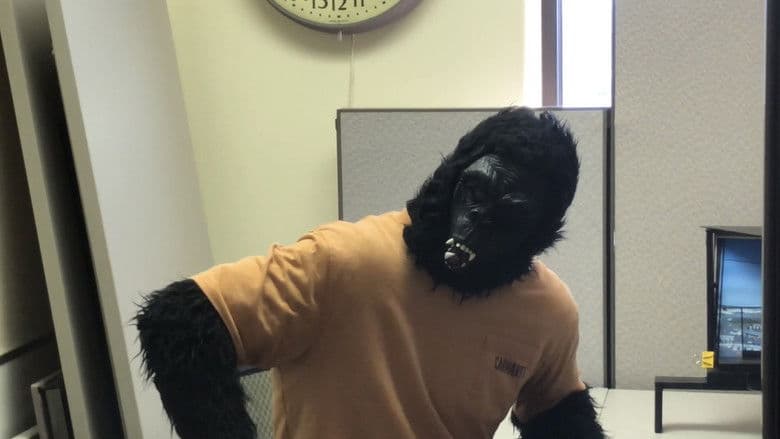 Working with Bigfoot