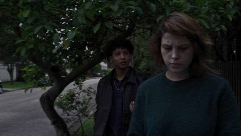 Curitiba, Lar de Vampiros