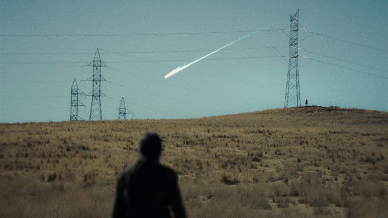 The Anatomy of the Horses